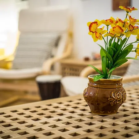 Auberge de jeunesse Pijama Plovdiv